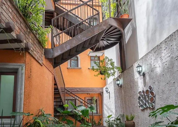 Casa Olivo México DF